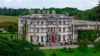 photo of Ballyseede Castle surrounded by trees